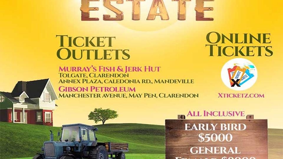 Sunset On The Estate