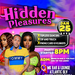 Hidden Pleasures